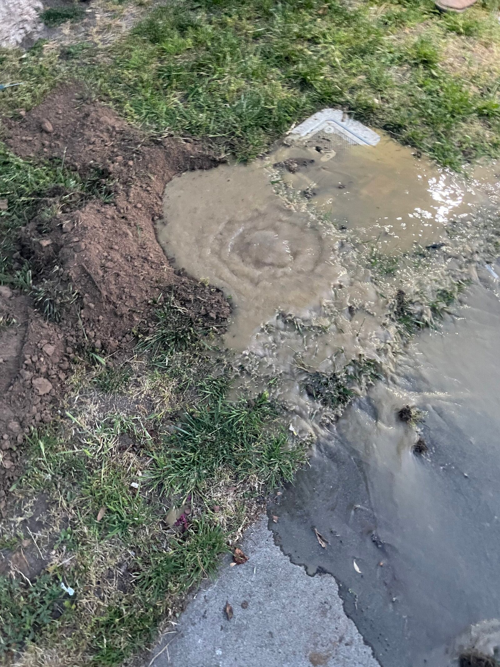 Clogged Drain Pipe Service 
destapando tuberia tapada 